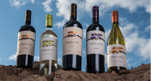 sposato-wine sposato-wine